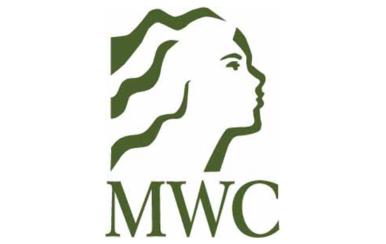 MI Women's Commission logo